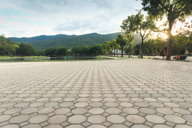 Professional Driveway Pavers in Orono, MN